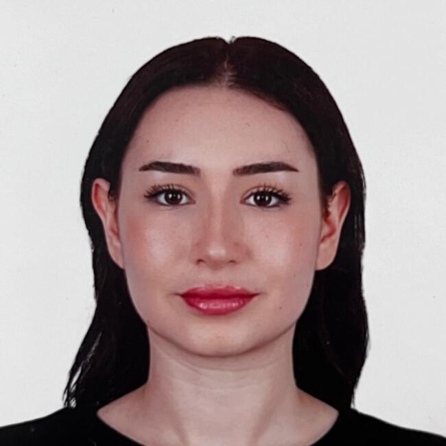 Babysitter in Tysons Corner: Dilan