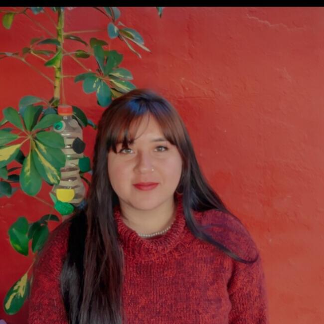 Babysitter in Santiago: Almendra