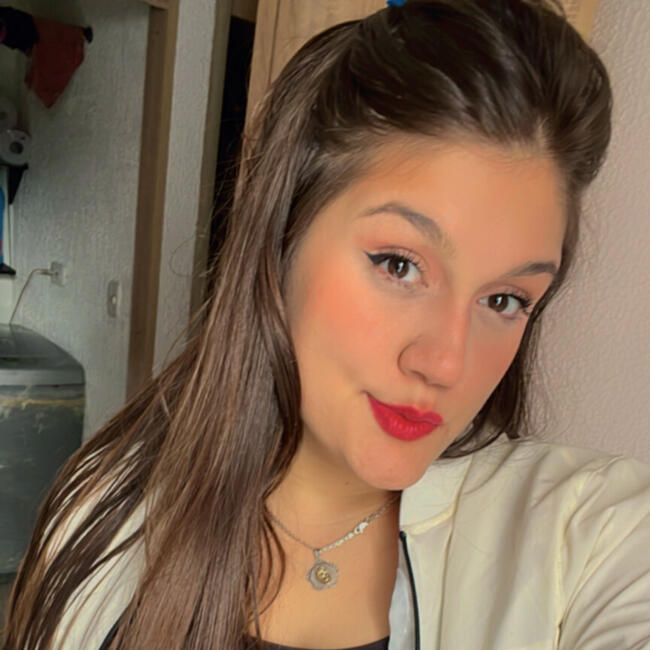 Babysitting job in Ibagué: Daniela