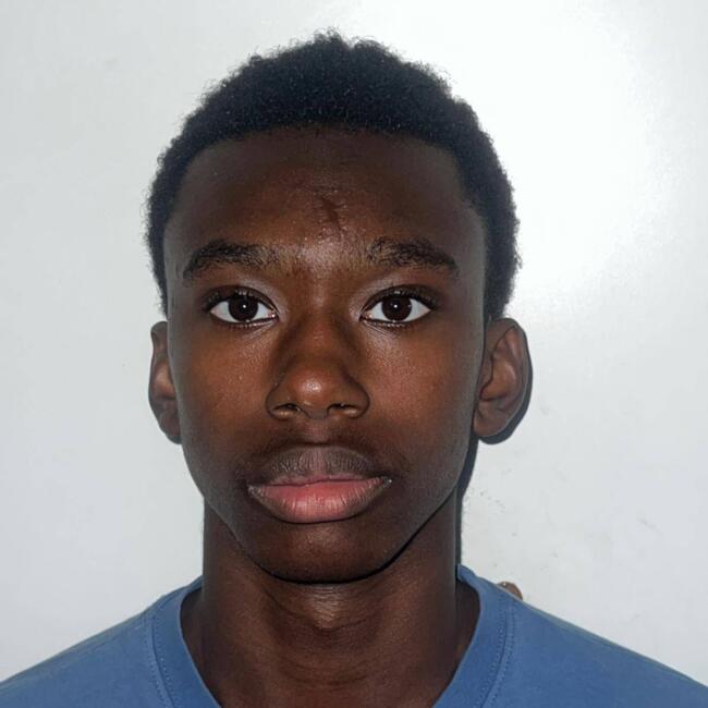 Babysitter in Mantes-la-Jolie: Bilal