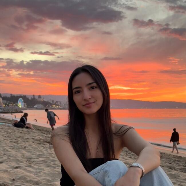 Babysitter in Viña del Mar: Geraldy