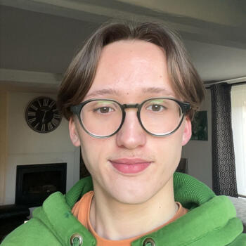 Babysitter Ellezelles: Theo