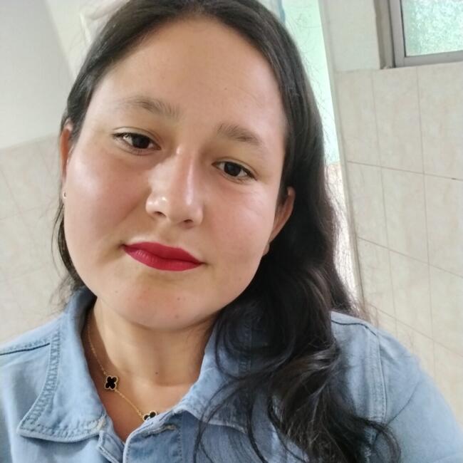 Babysitter in Santiago: Erica