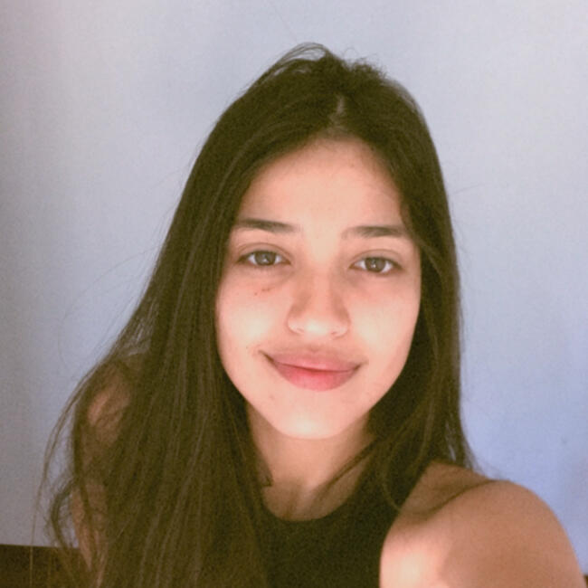 Babysitter in São José dos Campos: Wellen