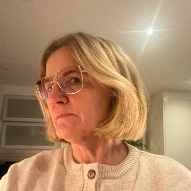 Dagmamma i Gävle: Carola