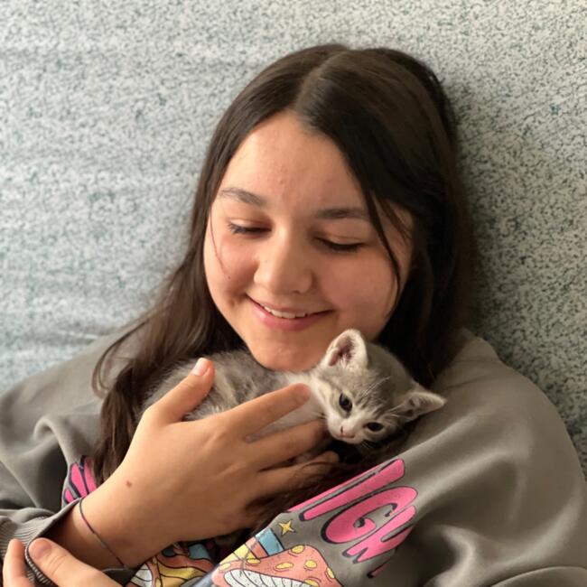 Babysitter in Pontoise: Noane