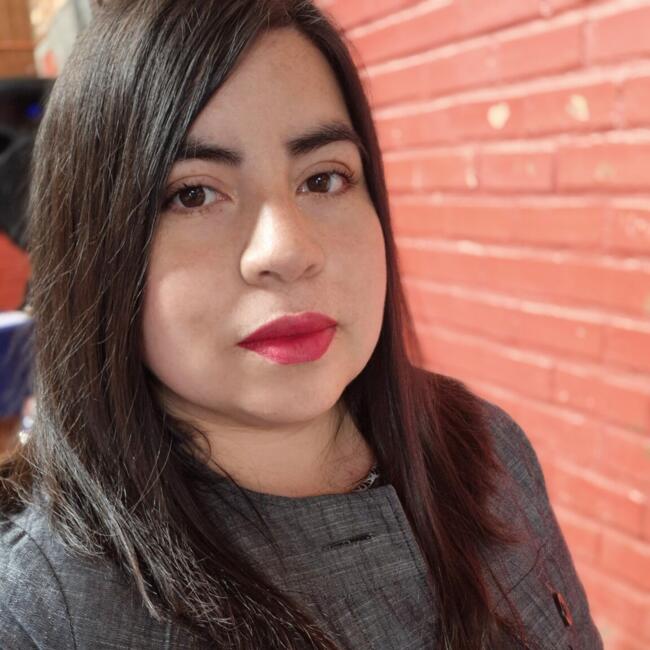 Babysitting job in Concepción: Cinthia Bustos