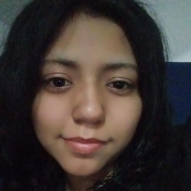 Niñera en San Juan del Río: Karla denisse