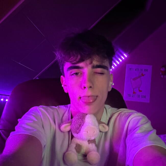 Babysitter in Lessines: Yanni