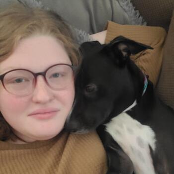 Babysitter in Dyersburg: Lily