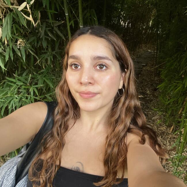 Babysitter in Viña del Mar: Alison