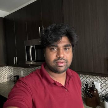 Babysitting job in Dallas: babysitting job Vamshi