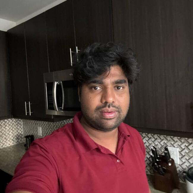 Babysitting job in Dallas: Vamshi