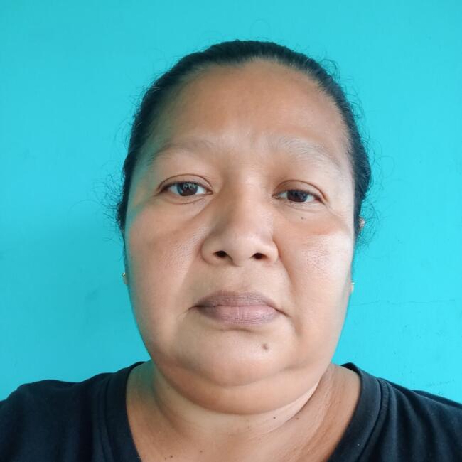 Babysitter in La Chorrera: Betzaida.