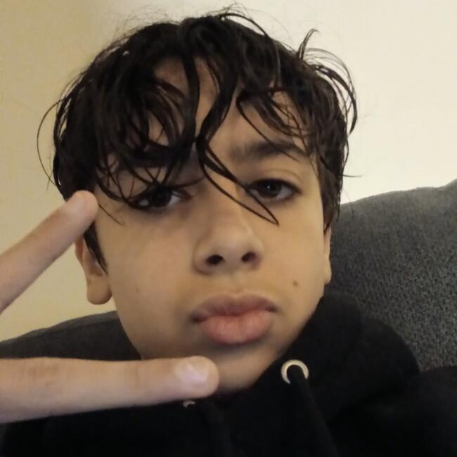 Babysitter in Villeurbanne: Hilel