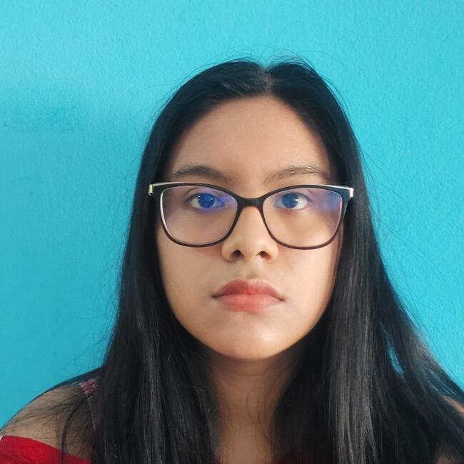 Babysitter in Carabayllo: Yaritza Yamille