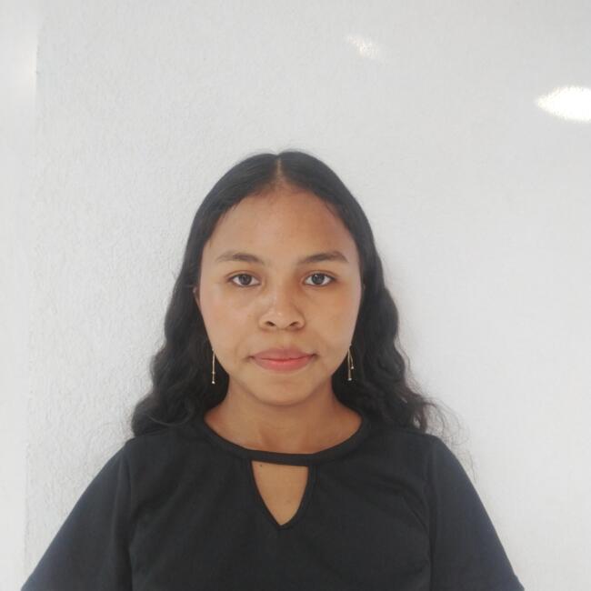 Niñera en Medellín: Vanessa