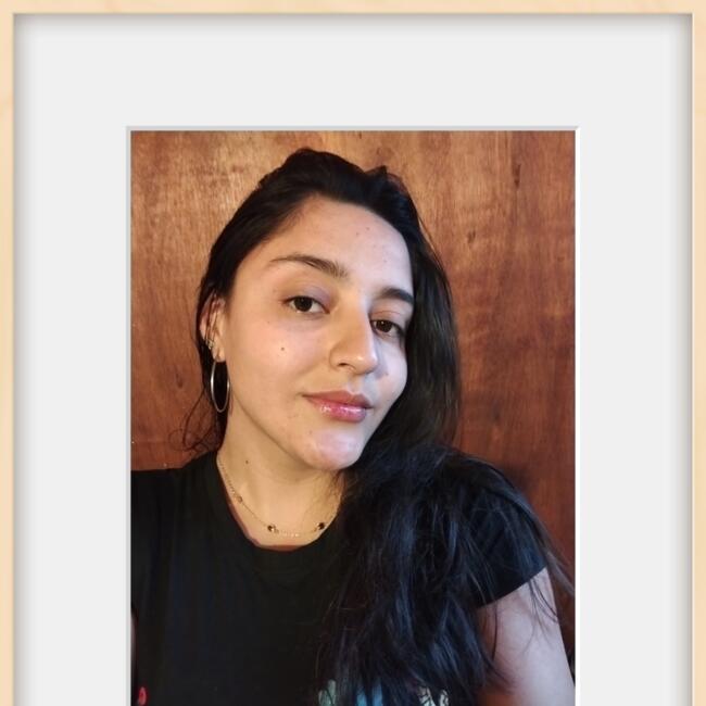 Babysitter in Paysandú: Mica