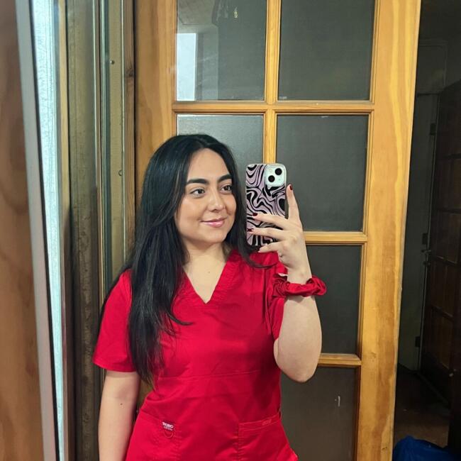 Babysitter in Santiago: Piara