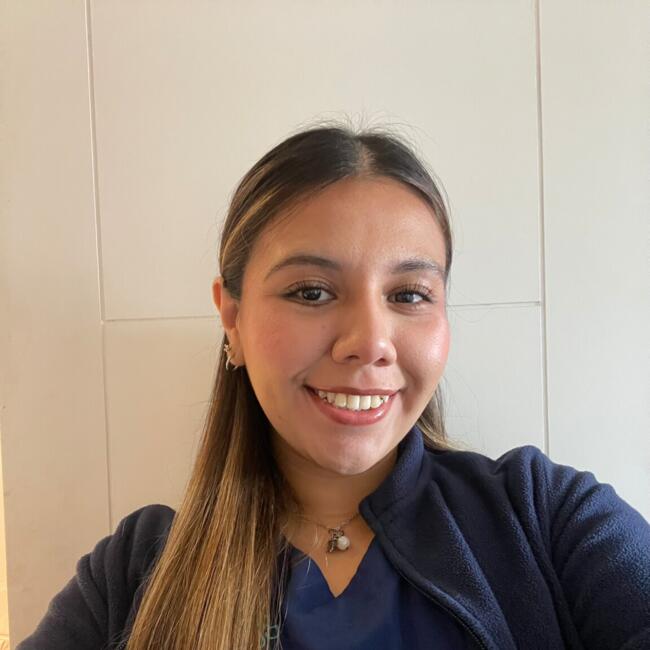 Niñera en Santiago de Chile: Camila