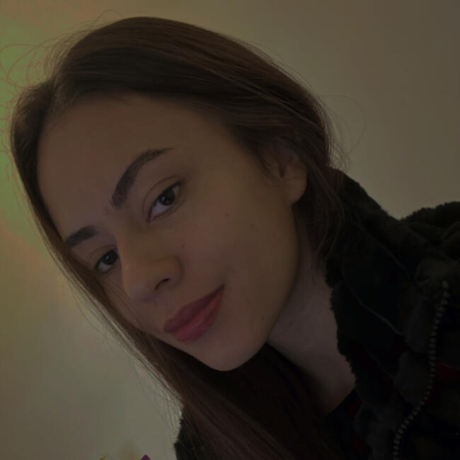 Babysitting job in Lages: Mayra