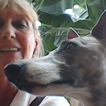 Nounou à Bruges: Nicole