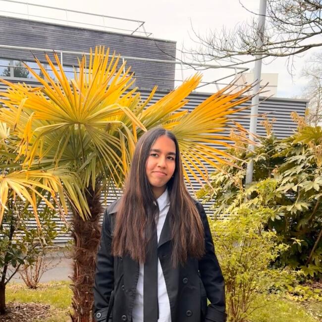 Babysitter in Neung-sur-Beuvron: Julia
