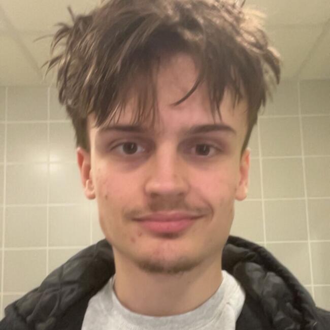 Babysitter in Vasselay: Victor