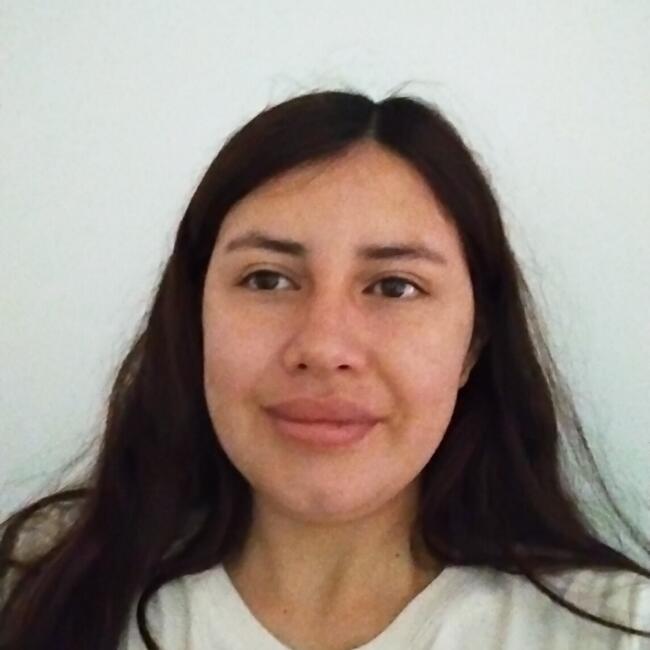 Babysitting job in La Serena: Melinna