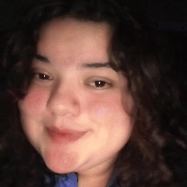 Babysitter in Tepic: Diana Paola Guillen Díaz