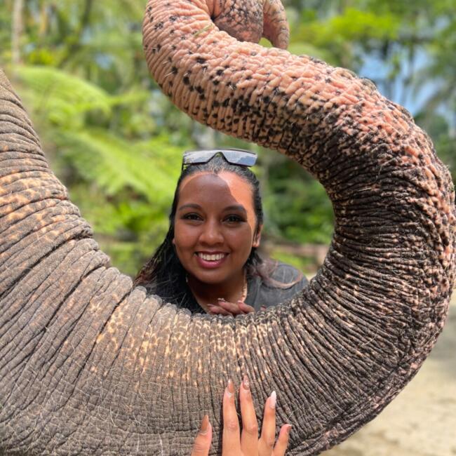 Babysitting job in Auckland: Priya