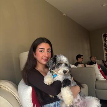 Babysitter New Rochelle: Hailey