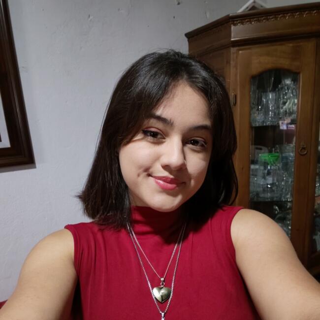 Babysitter in Heredia: Keren