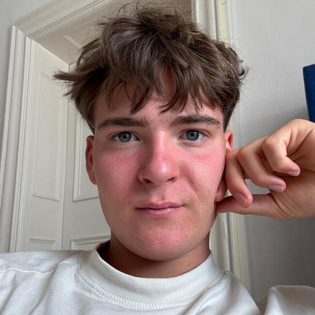 Babysitter in Hinterbrühl: Fabian