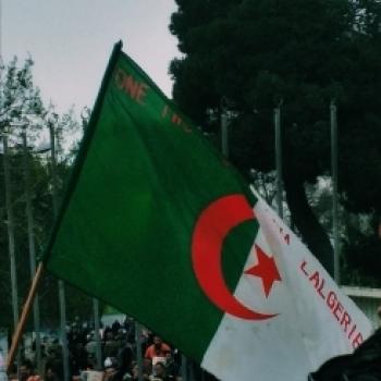 Nounou à Nîmes: Pétale