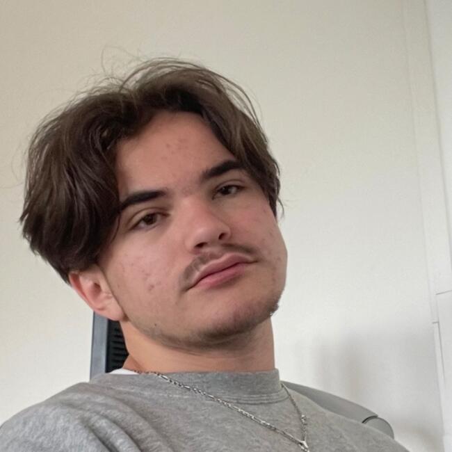 Babysitter in Fontenay-sous-Bois: Léo et Louis