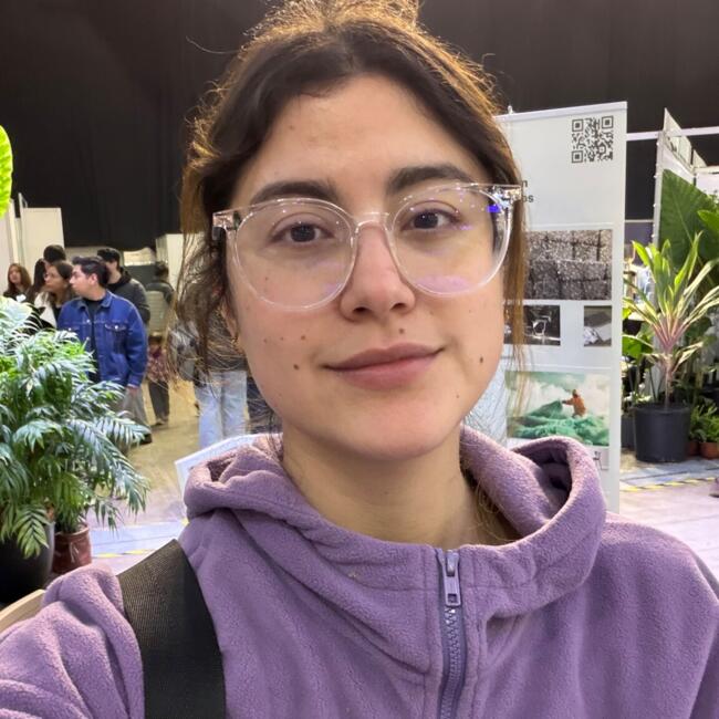 Trabajo para niñera en Santiago de Chile: Paula