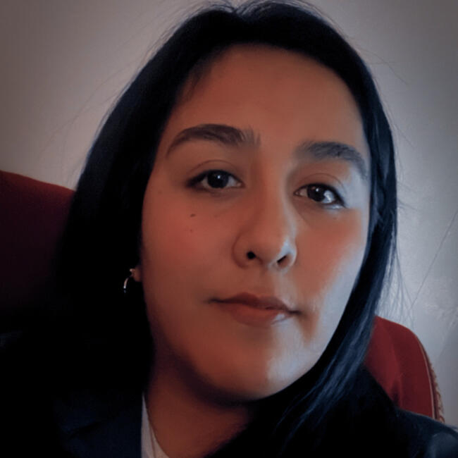 Babysitter in Port Montt: Camila Nataly Paredes Oyarzo