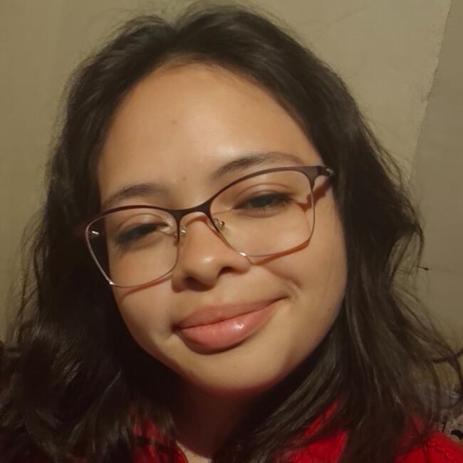 Babysitter in San José (Provincia de San José): Cristine