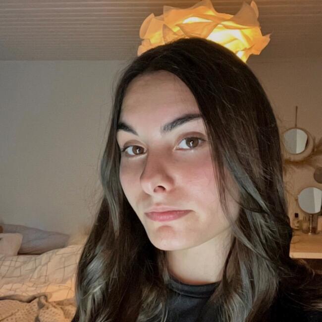 Babysitter in Vichy: Romane