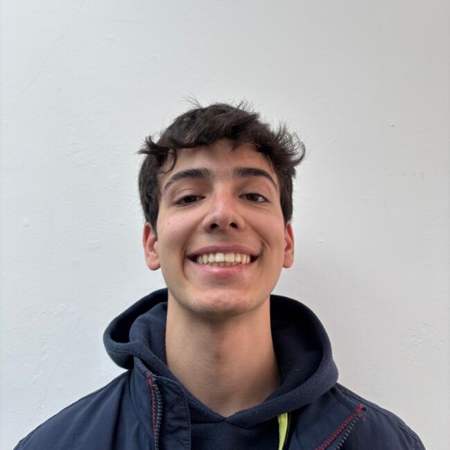 Babysitter em Viseu: Ricardo
