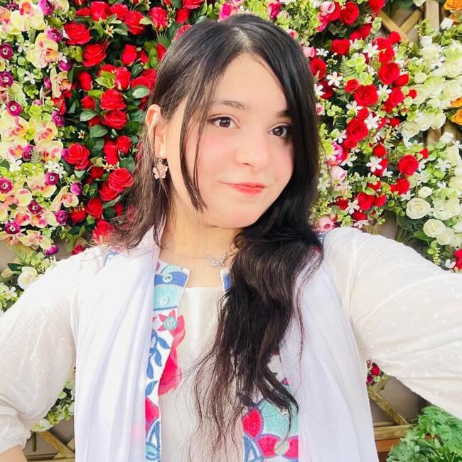 Babysitter a Busto Arsizio: Sayba