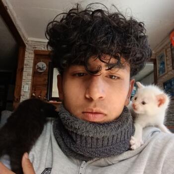 Babysitter in Alto Hospicio: Dydier