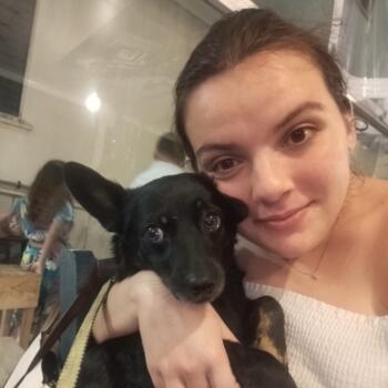 Babysitting job in Trapani: babysitting job Francesca