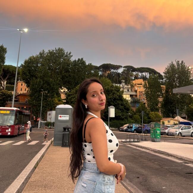 Babysitter in Vienna: Sifat