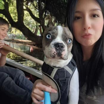 Niñera en La Florida: Fernanda