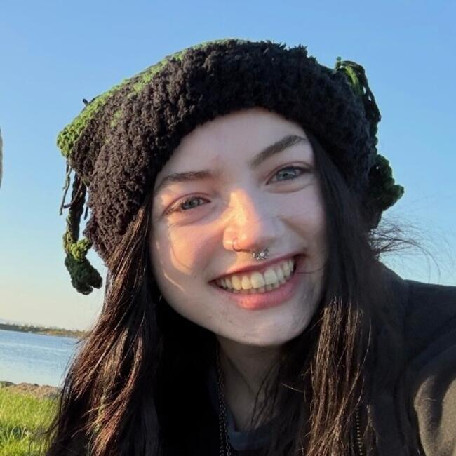 Babysitter in Galway: Abbie