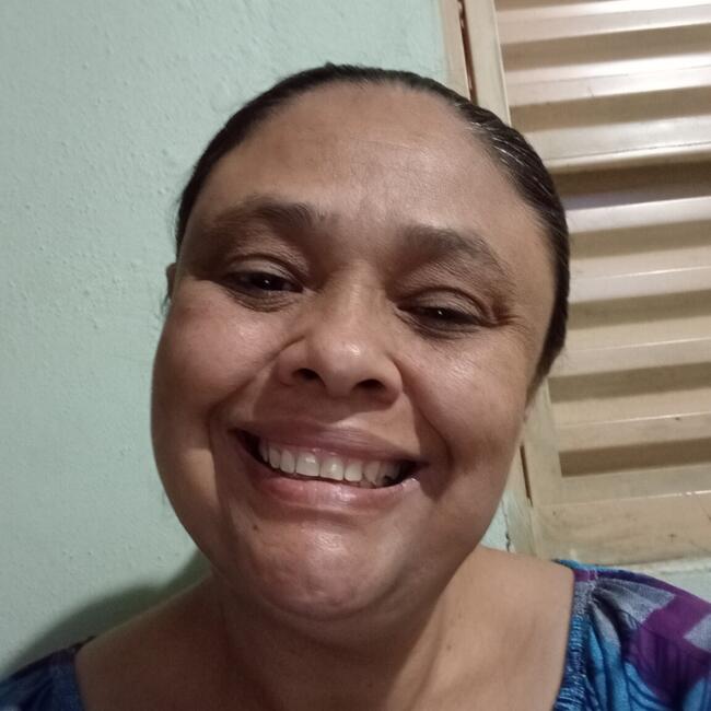 Babysitter in Registro: Rosana