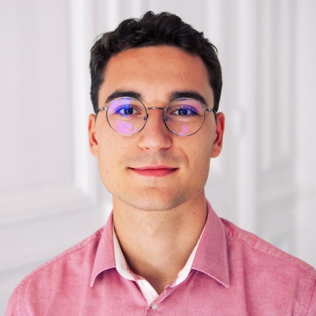 Babysitter in Le Chesnay: Mathis