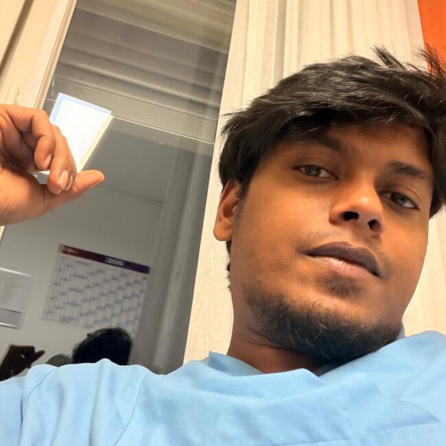 Babysitter in Saarbrücken: Parthasaradhi